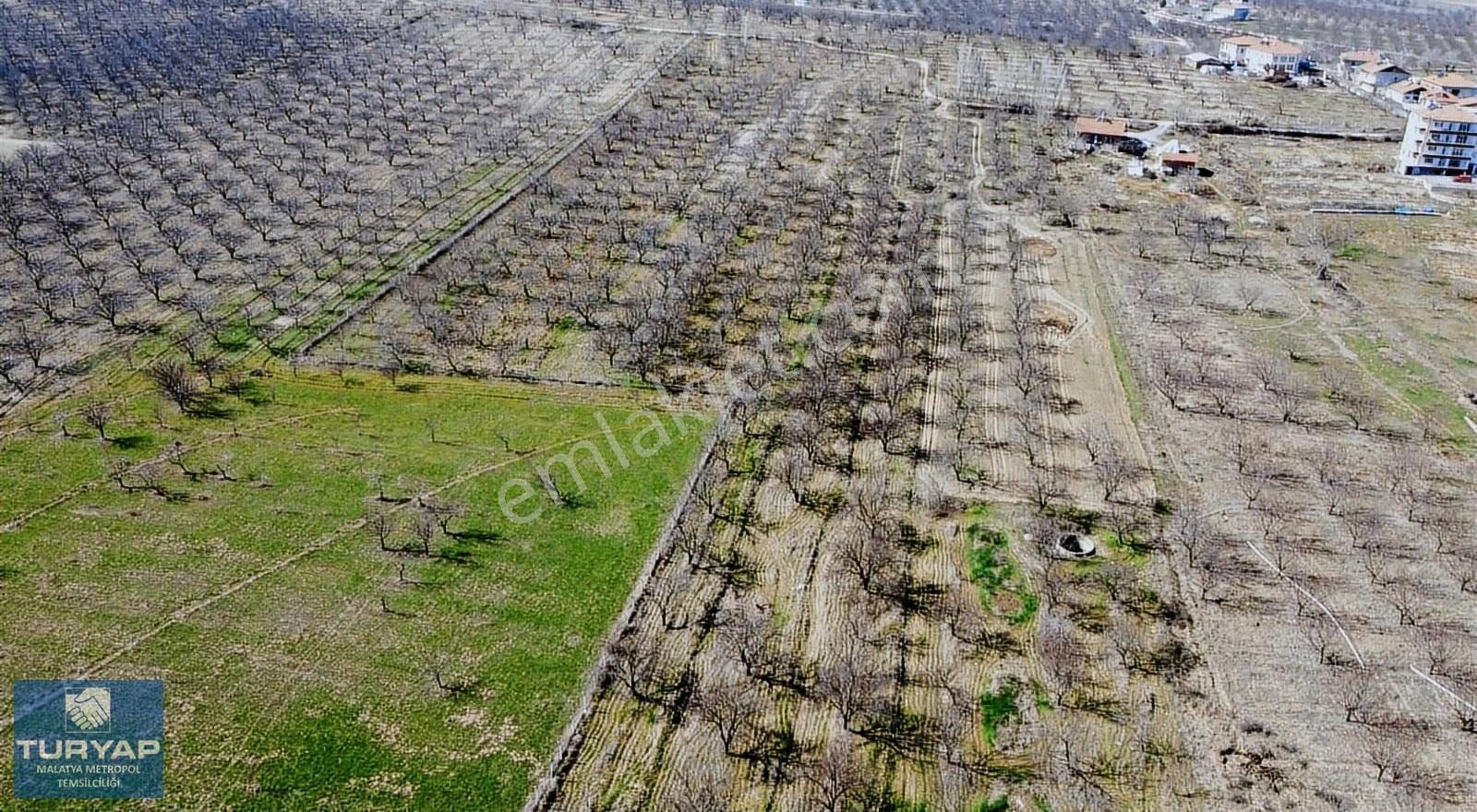 Turyap'tan Hava Alanı Yolu Üzerinde 9000 M² Satılık Bahçe - Görsel 13