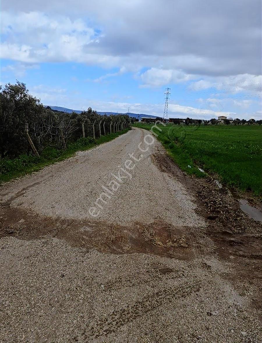 Foça Yeni Bağa Rasında 145 M2 Bahçe Acil Satılıktır - Görsel 11