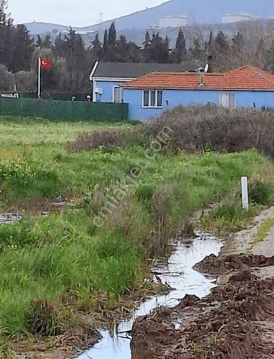 Foça Yeni Bağa Rasında 145 M2 Bahçe Acil Satılıktır - Görsel 29