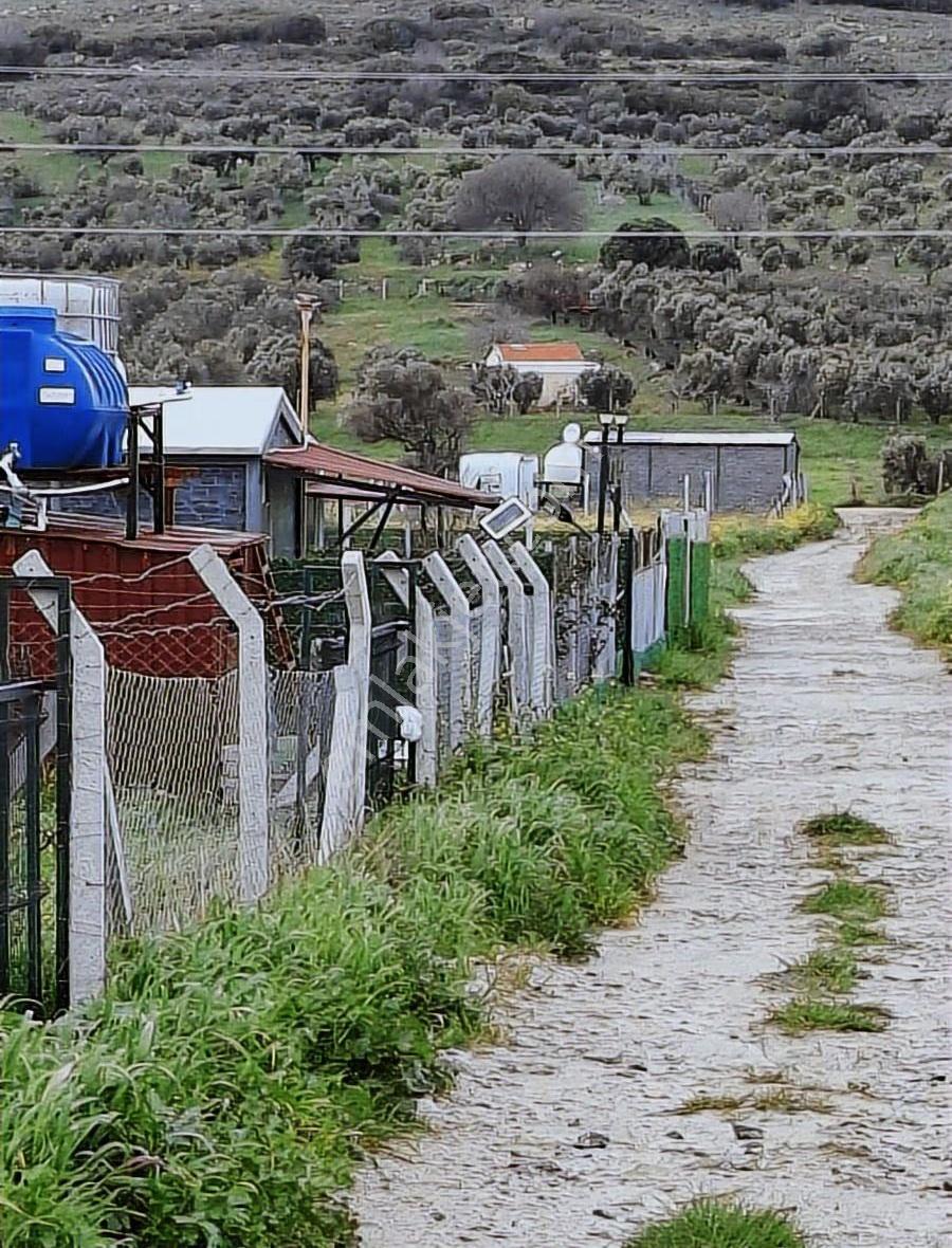Foça Yeni Bağa Rasında 145 M2 Bahçe Acil Satılıktır - Görsel 8