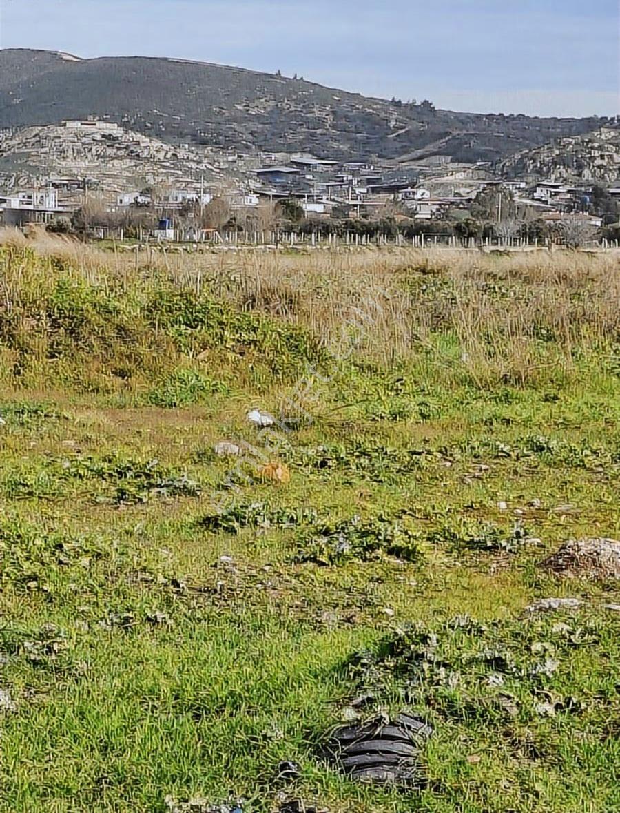 Foça Gerenköyde 540 M2 Bahçe Acil Satılıktır - Görsel 2