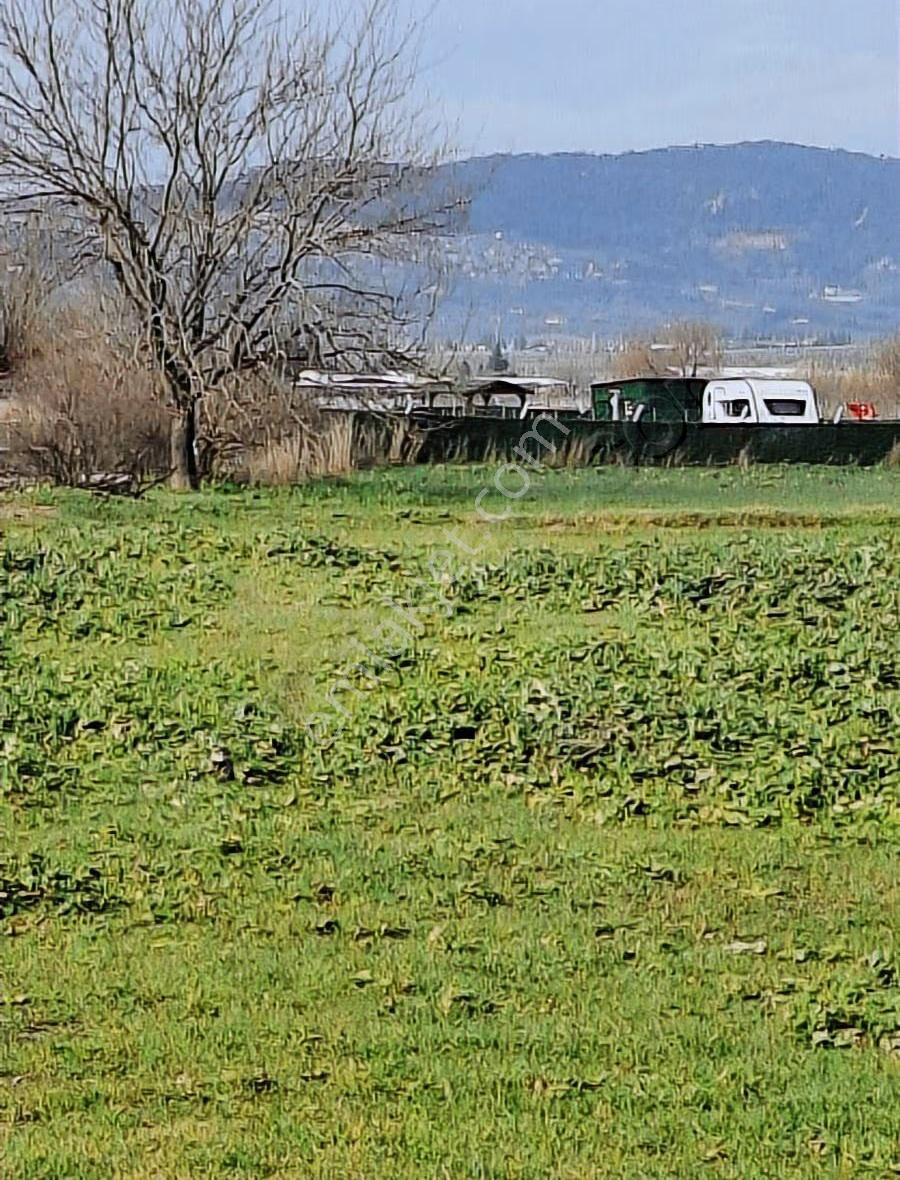 Foça Gerenköyde 540 M2 Bahçe Acil Satılıktır - Görsel 34