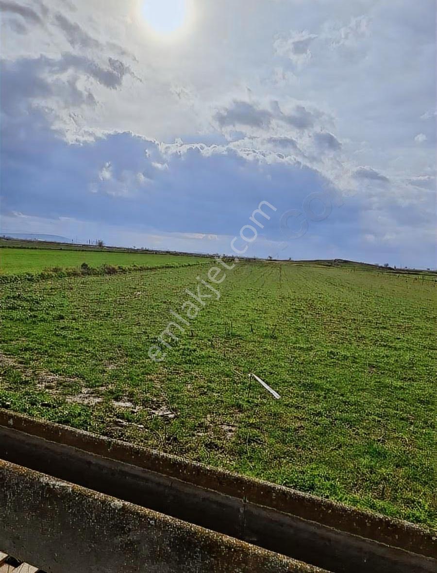 Foça Gerenköyde 540 M2 Bahçe Acil Satılıktır - Görsel 21