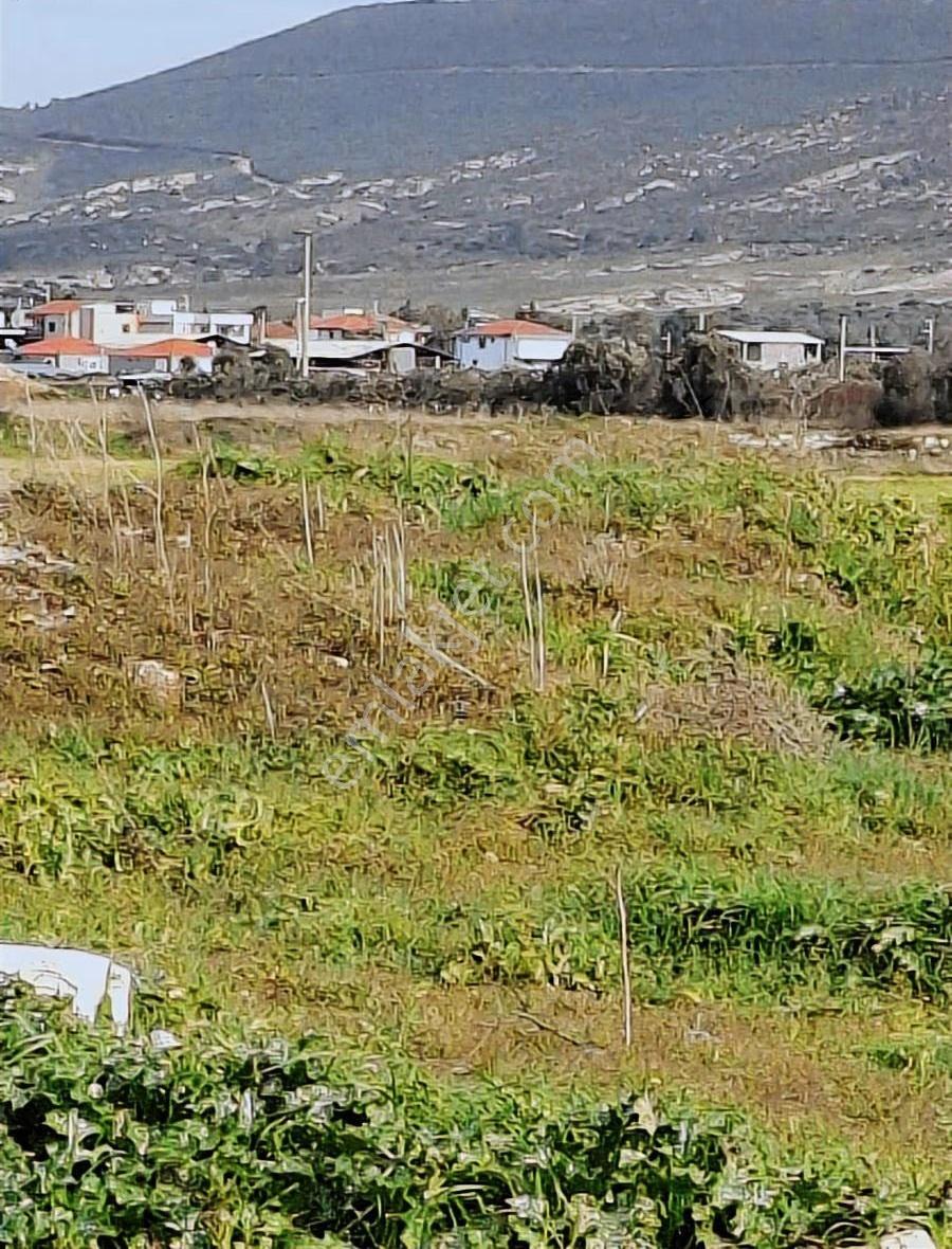 Foça Gerenköyde 540 M2 Bahçe Acil Satılıktır