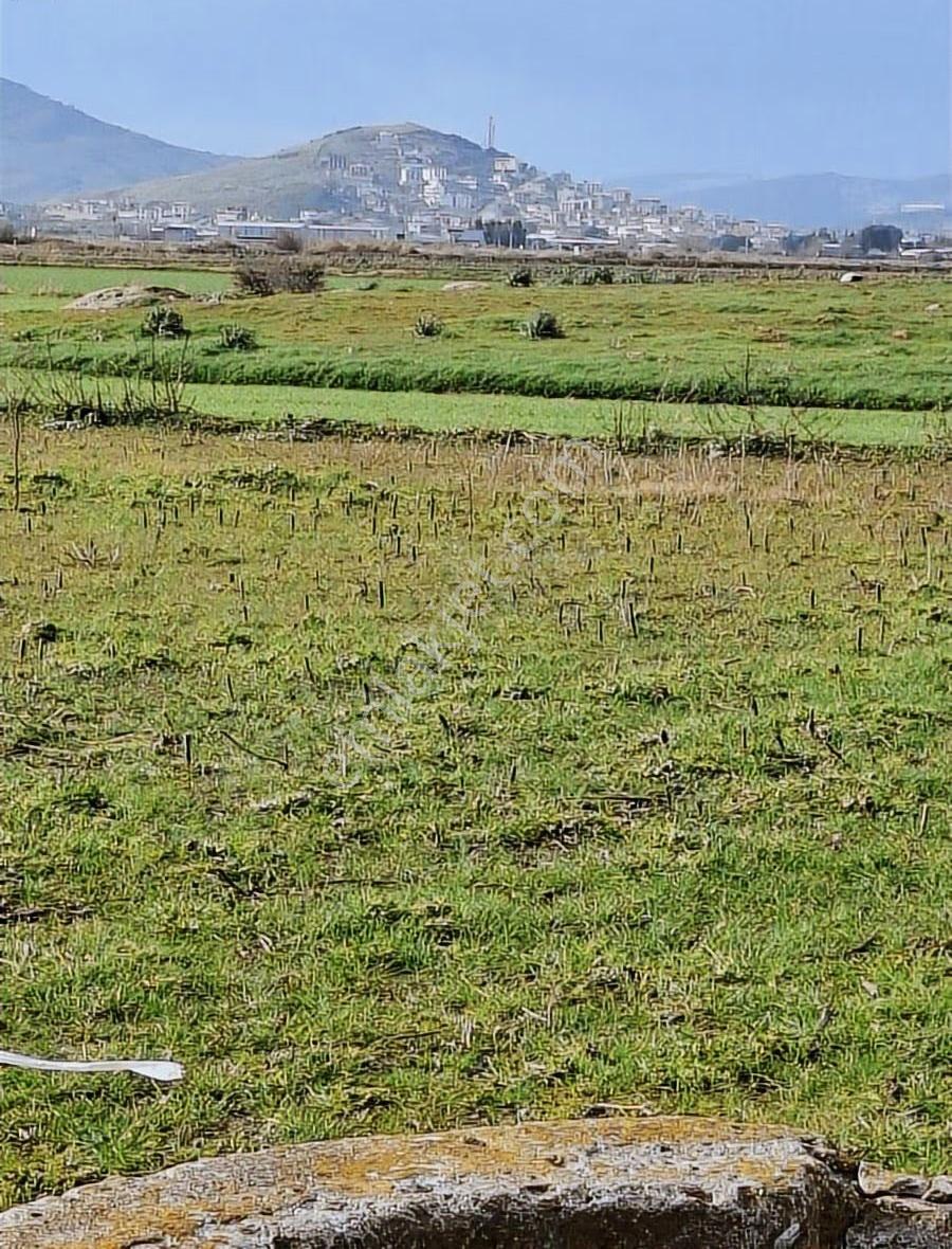 Foça Gerenköyde 540 M2 Bahçe Acil Satılıktır - Görsel 20