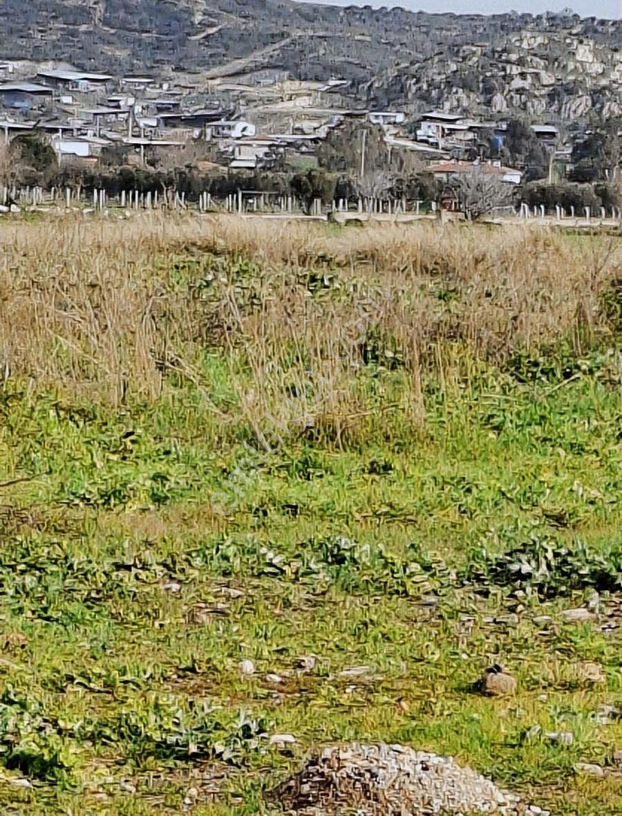 Foça Gerenköyde 540 M2 Bahçe Acil Satılıktır - Görsel 6