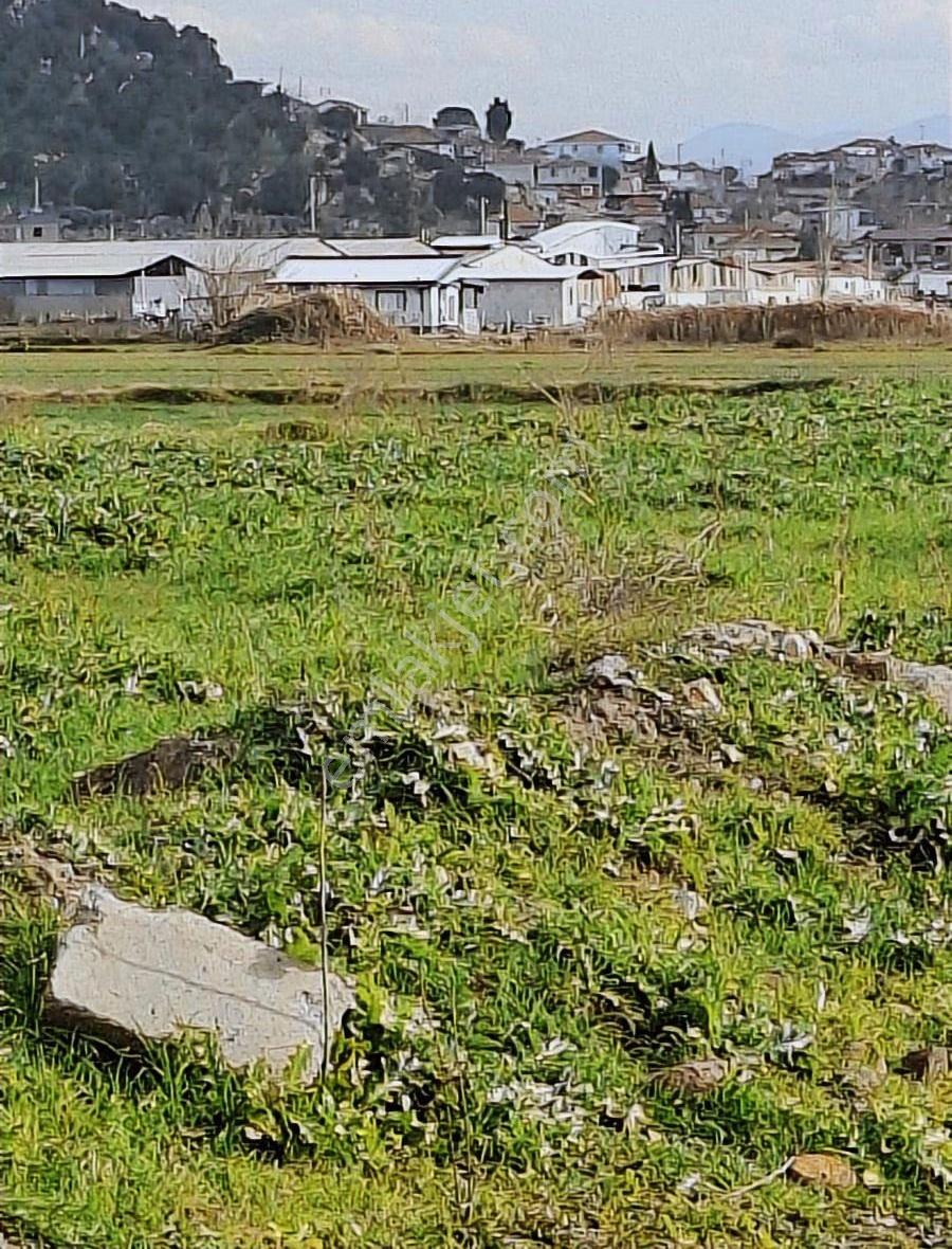Foça Gerenköyde 540 M2 Bahçe Acil Satılıktır - Görsel 11