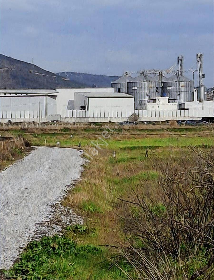 Foça Gerenköyde 540 M2 Bahçe Acil Satılıktır - Görsel 18