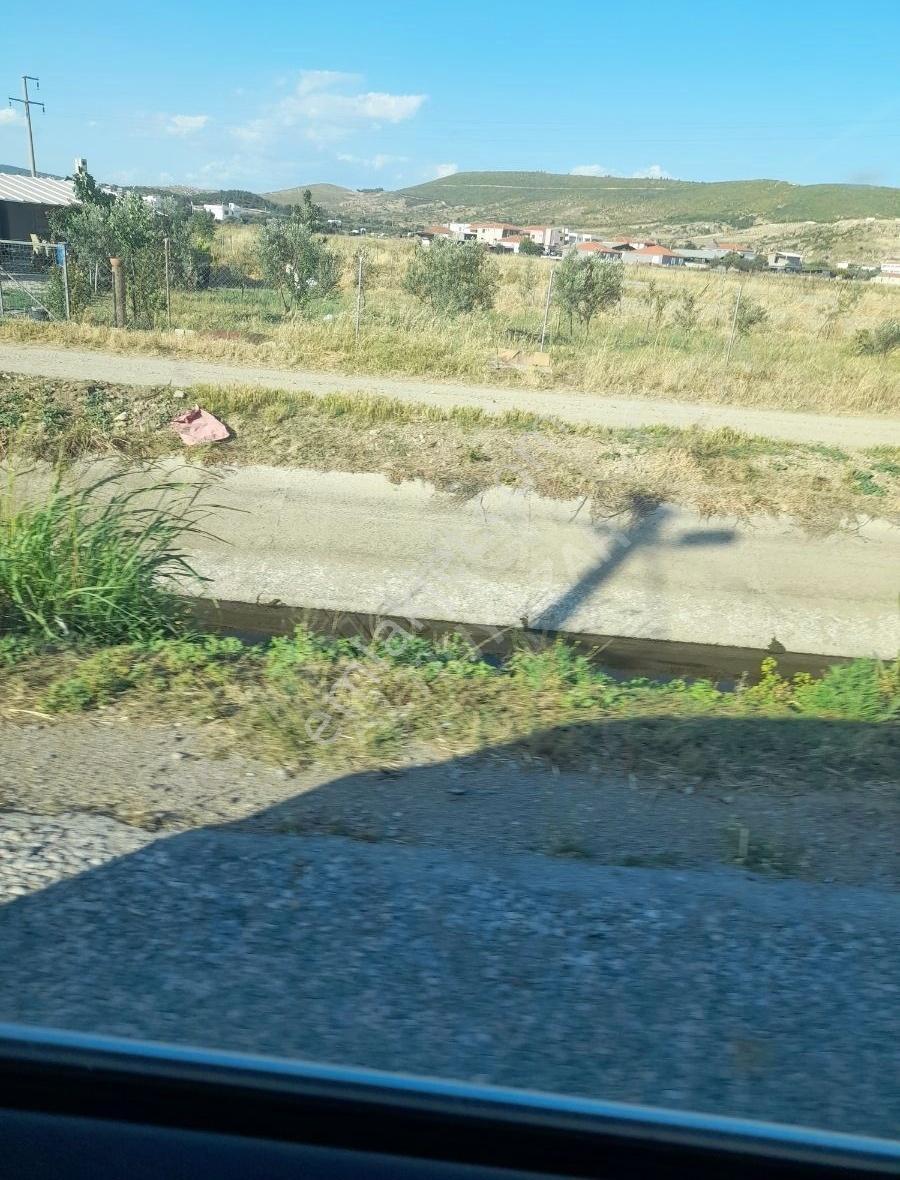Foça Gerenköyde 500 Mk Tek Tapu Satılık - Görsel 13
