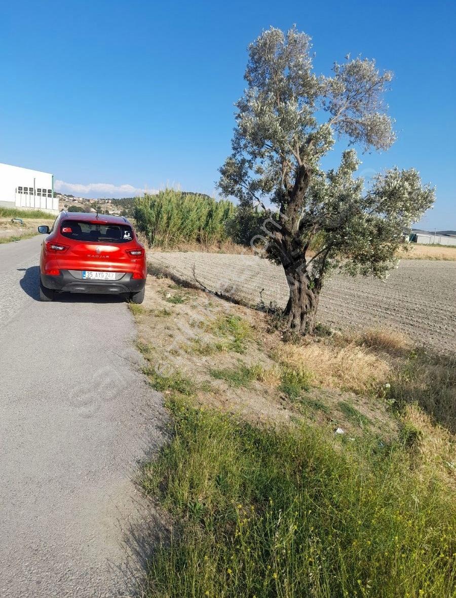Foça Gerenköyde 500 Mk Tek Tapu Satılık - Görsel 18