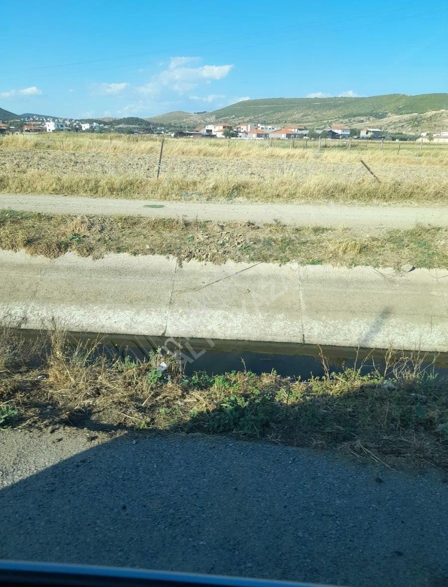 Foça Gerenköyde 500 Mk Tek Tapu Satılık - Görsel 4