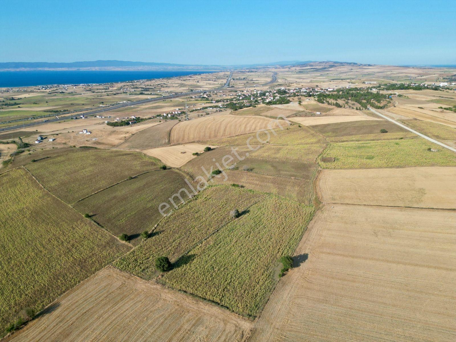 Gelibolu Bolayır 9245 M2 Satılık Yatırımlık Hesaplı Tarla - Görsel 2