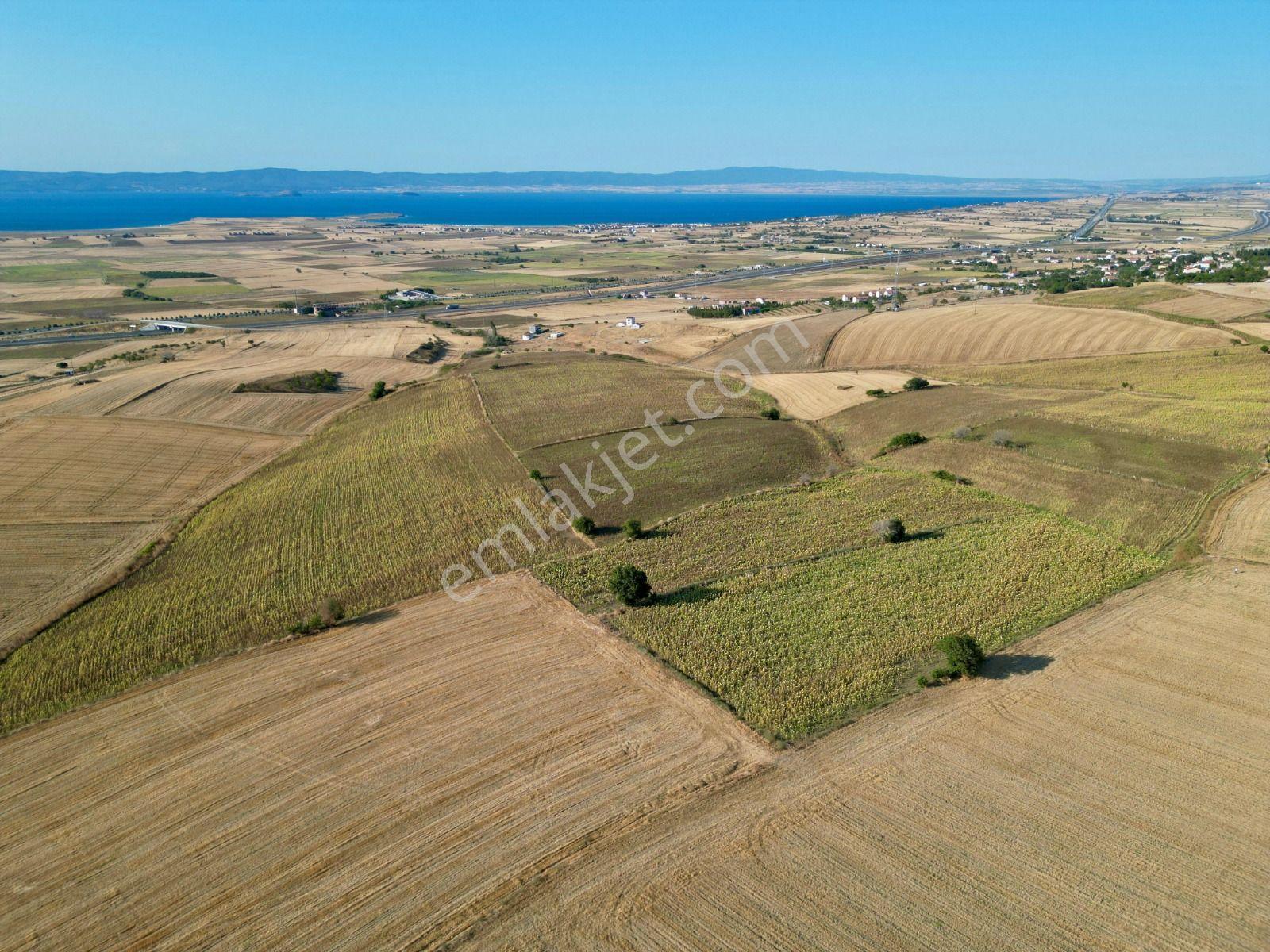 Gelibolu Bolayır 9245 M2 Satılık Yatırımlık Hesaplı Tarla - Görsel 3