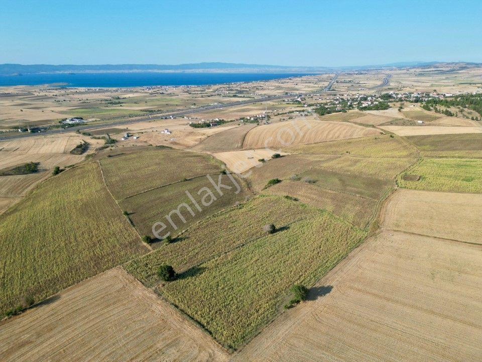 Gelibolu Bolayır 9245 M2 Satılık Yatırımlık Hesaplı Tarla - Görsel 13