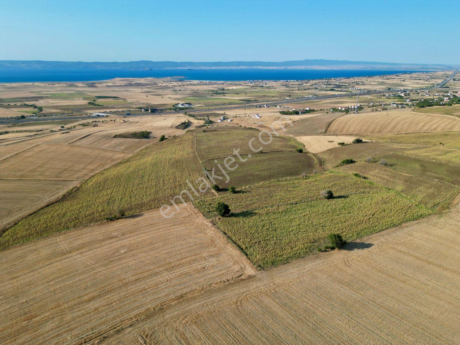 Gelibolu Bolayır 9245 M2 Satılık Yatırımlık Hesaplı Tarla