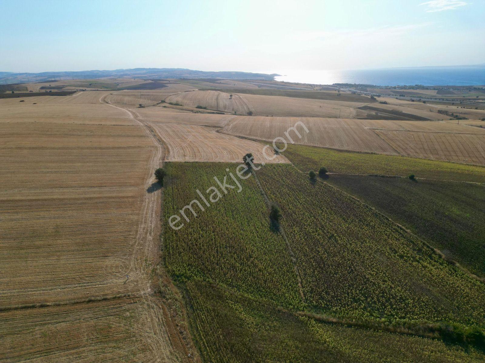 Gelibolu Bolayır 9245 M2 Satılık Yatırımlık Hesaplı Tarla - Görsel 11