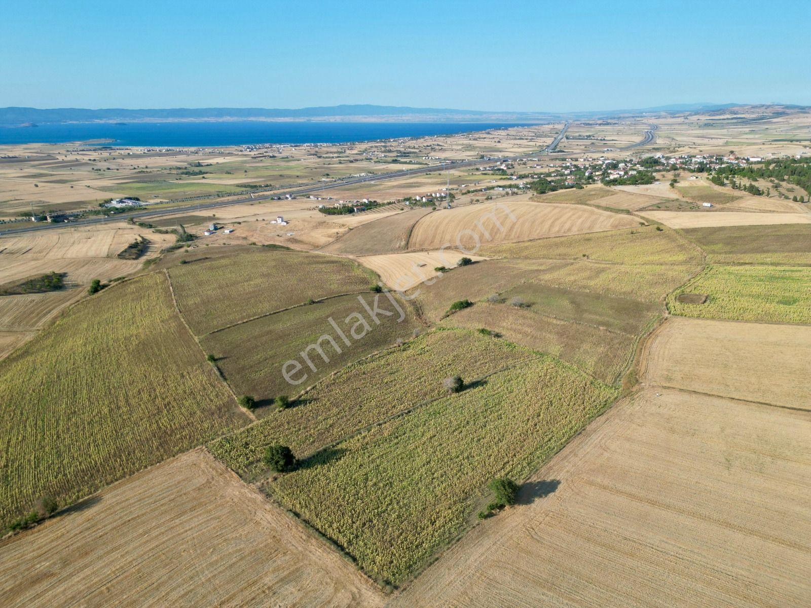 Gelibolu Bolayır 9245 M2 Satılık Yatırımlık Hesaplı Tarla - Görsel 4