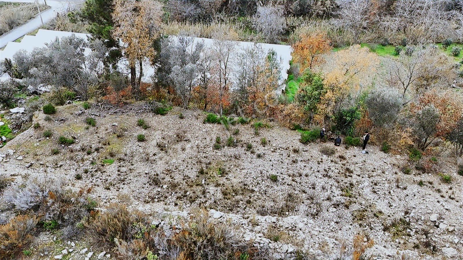 Alanya Emişbeleninde 2.570m2 Müstakil Tarla
