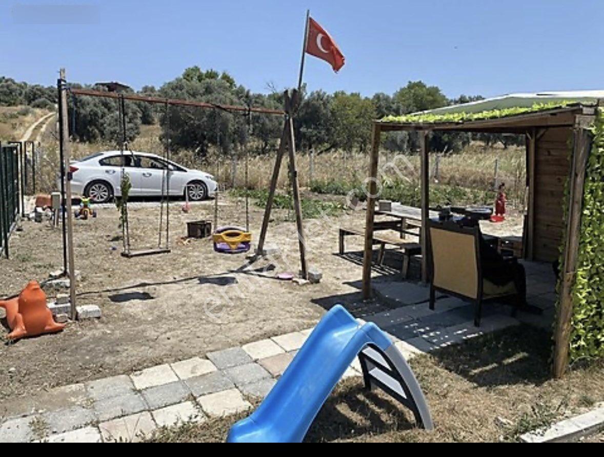 Bakımlı Tarla - Görsel 5