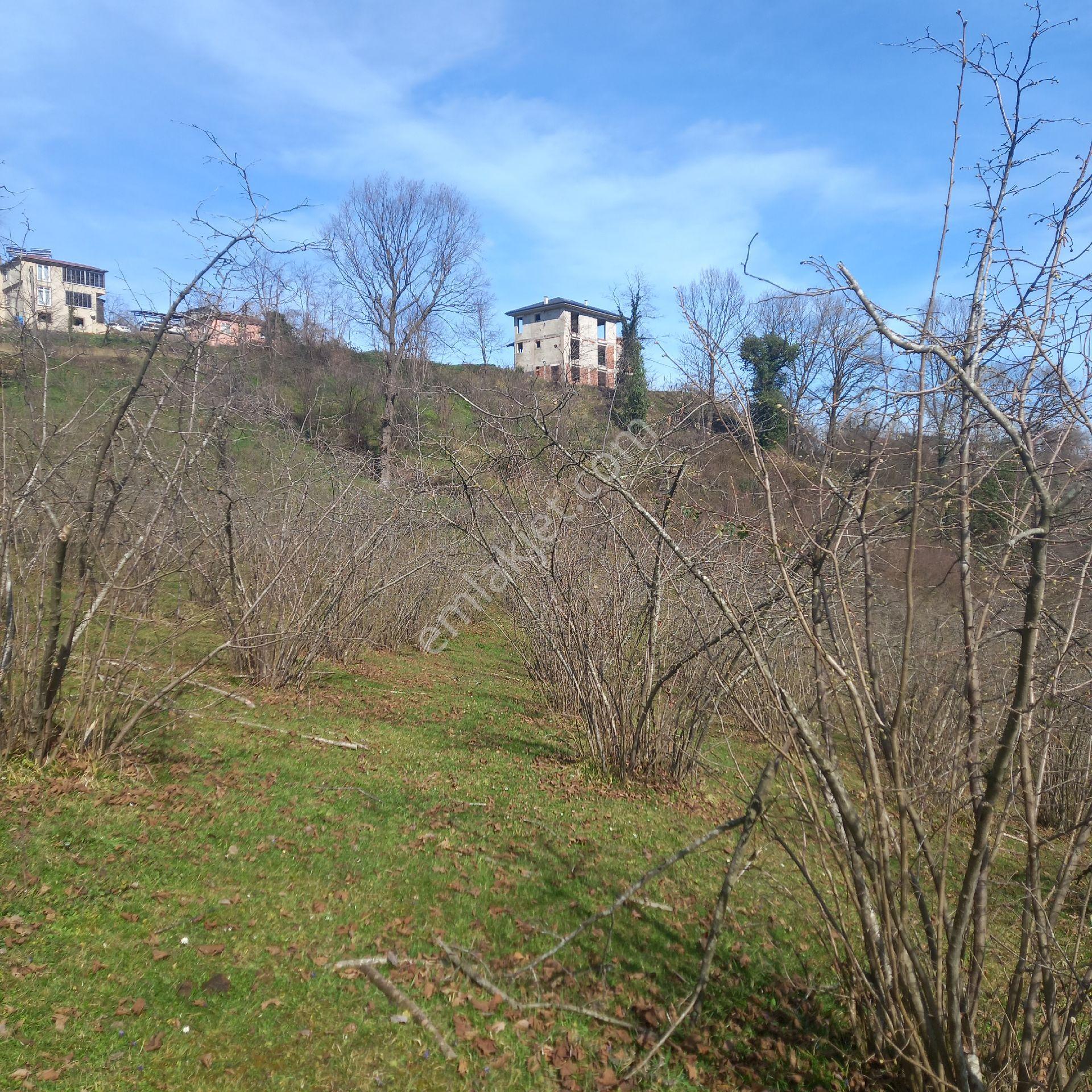 Ordu Efirli Mah Mevkiinde 9000 M2 Arsamız Satılıktır - Görsel 22