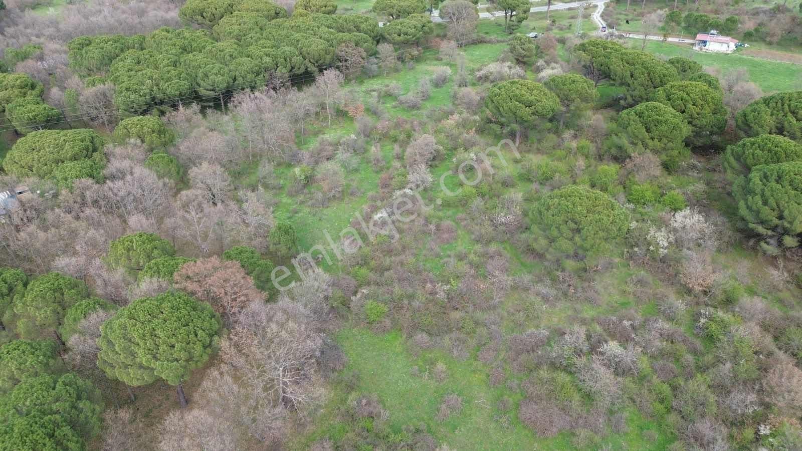 Kozak Yukarıbey Mahallesinde Satılık Tarla 7.700 M2 - Görsel 2