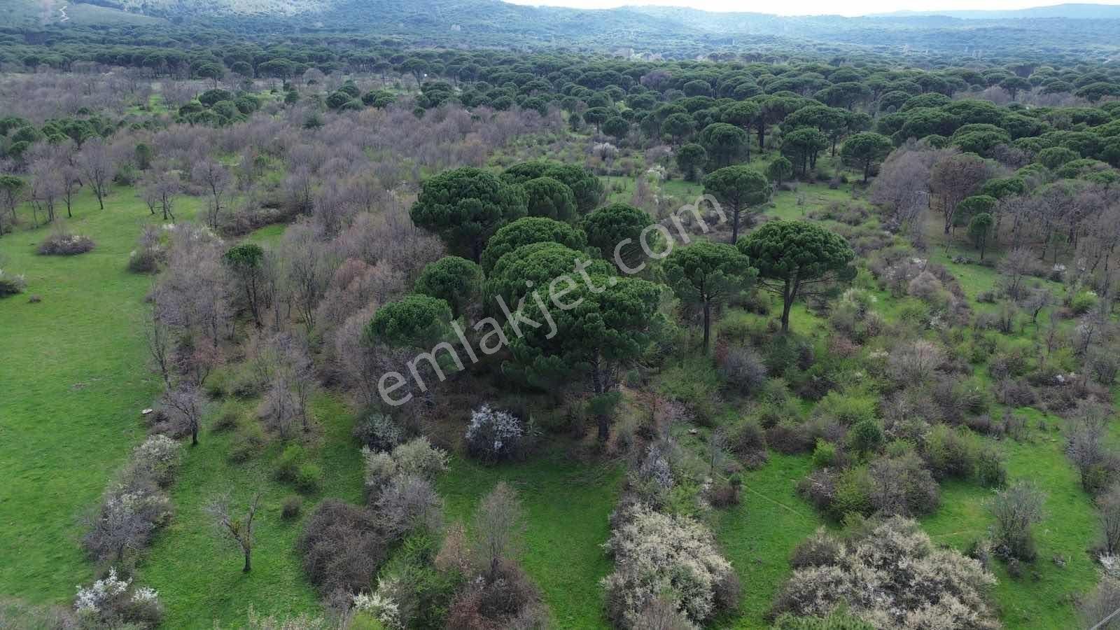 Kozak Yukarıbey Mahallesinde Satılık Tarla 7.700 M2 - Görsel 6