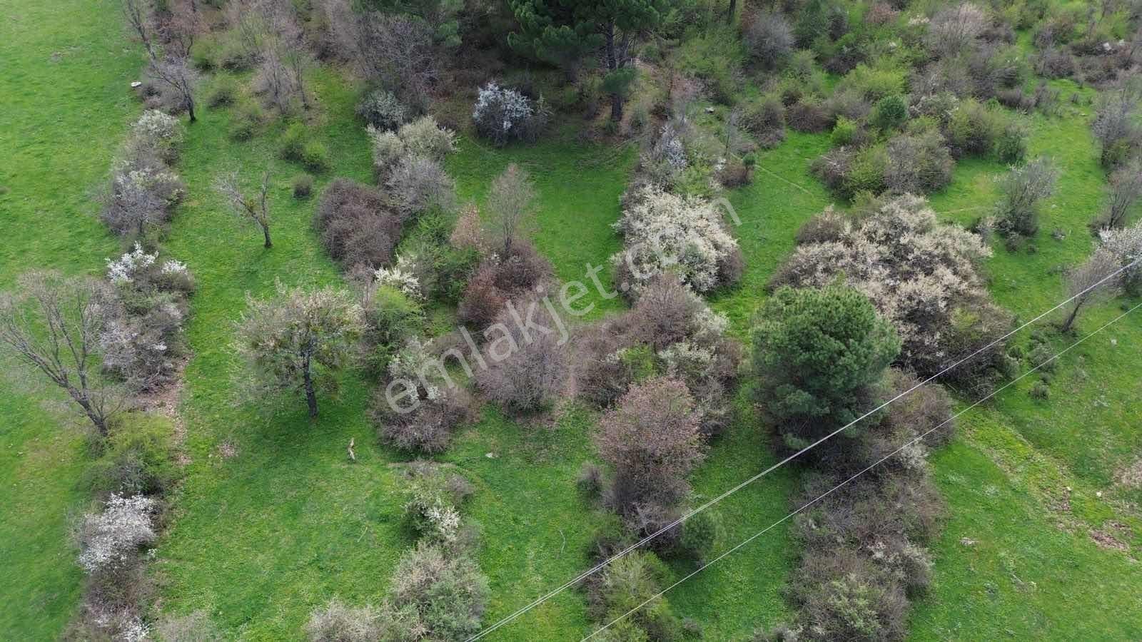 Kozak Yukarıbey Mahallesinde Satılık Tarla 7.700 M2