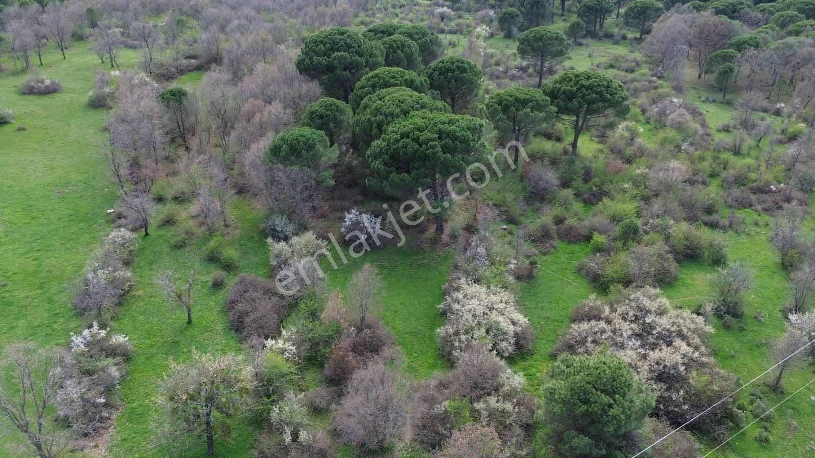 Kozak Yukarıbey Mahallesinde Satılık Tarla 7.700 M2 - Görsel 7