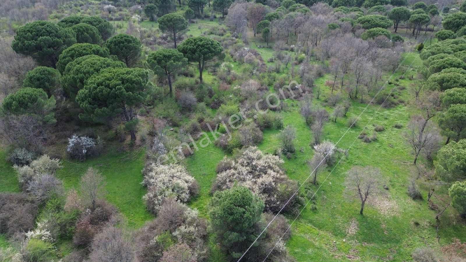 Kozak Yukarıbey Mahallesinde Satılık Tarla 7.700 M2 - Görsel 11