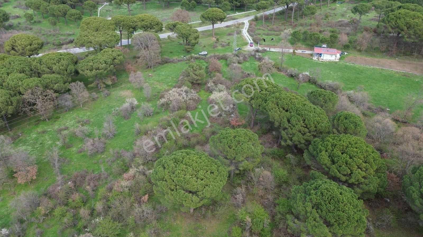 Kozak Yukarıbey Mahallesinde Satılık Tarla 7.700 M2 - Görsel 4