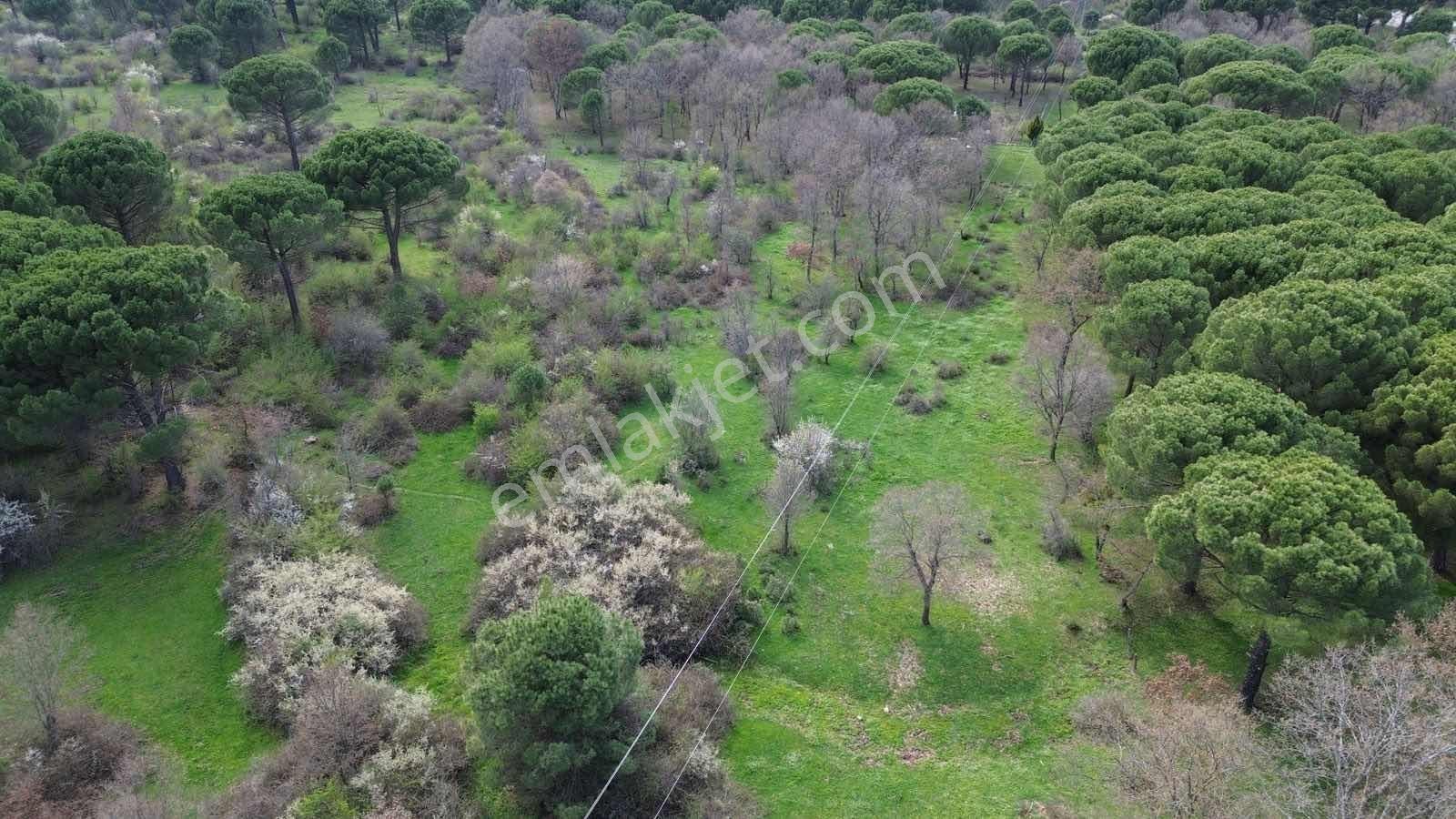 Kozak Yukarıbey Mahallesinde Satılık Tarla 7.700 M2 - Görsel 8