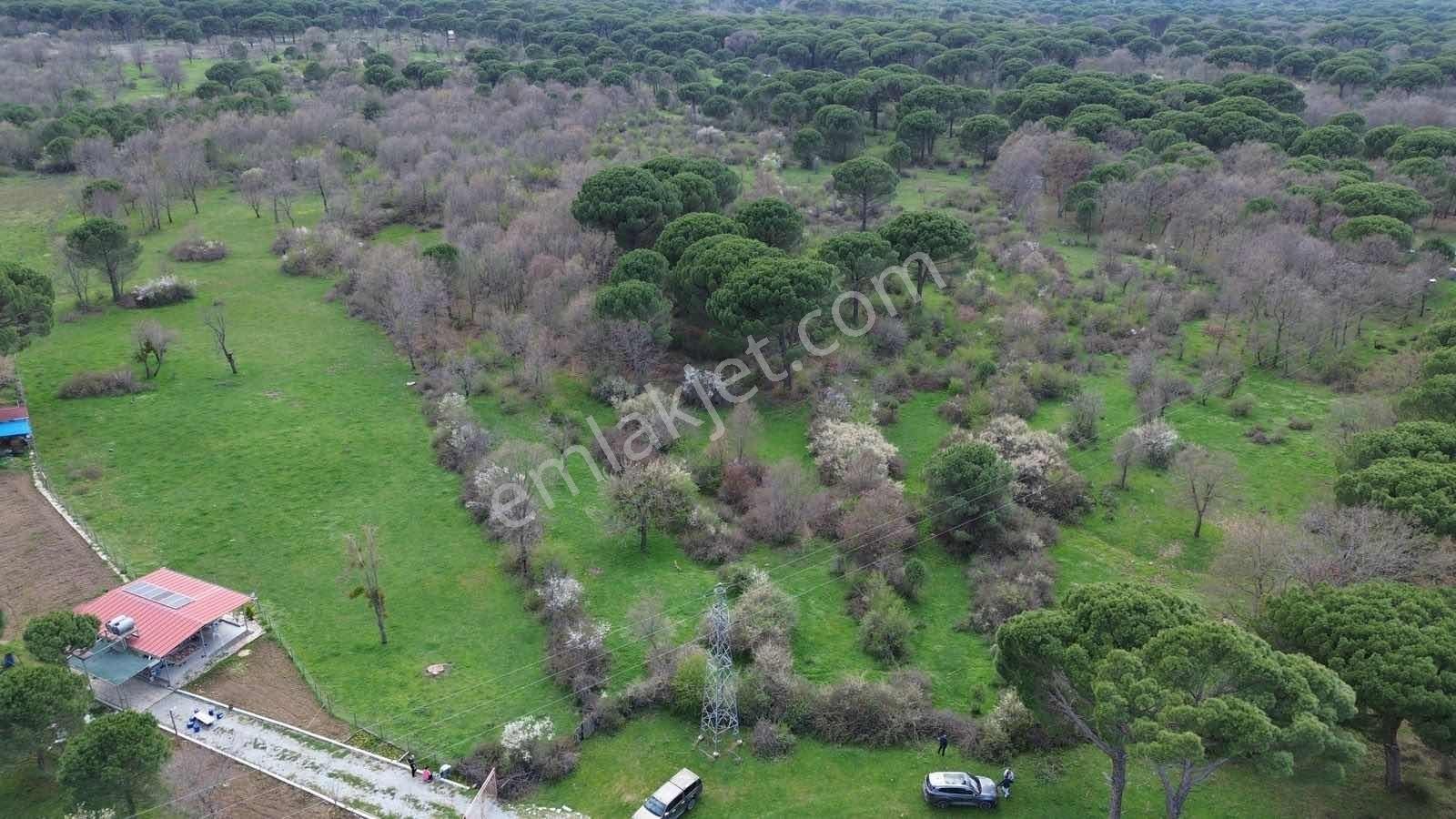 Kozak Yukarıbey Mahallesinde Satılık Tarla 7.700 M2 - Görsel 12