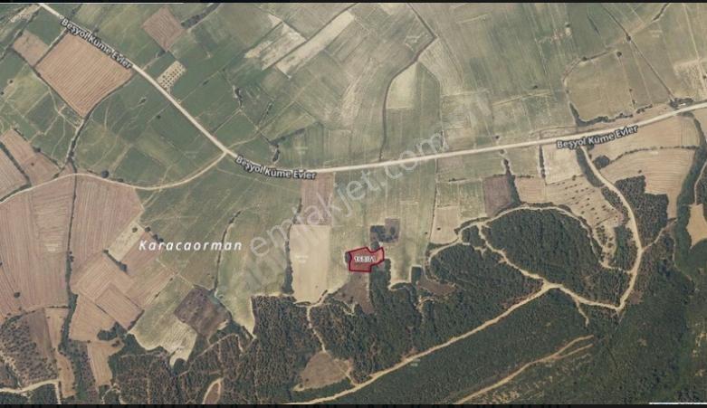 Çanakkale - Eceabat - Beşyol Da Harika Fırsat Arazi - Görsel 5