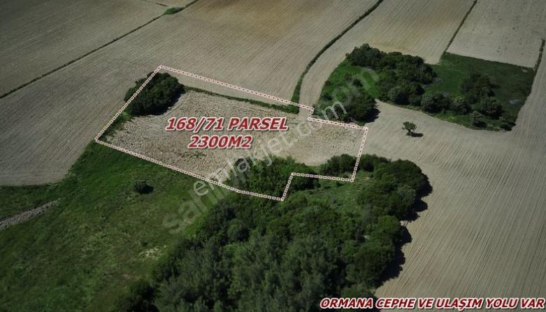 Çanakkale - Eceabat - Beşyol Da Harika Fırsat Arazi - Görsel 3