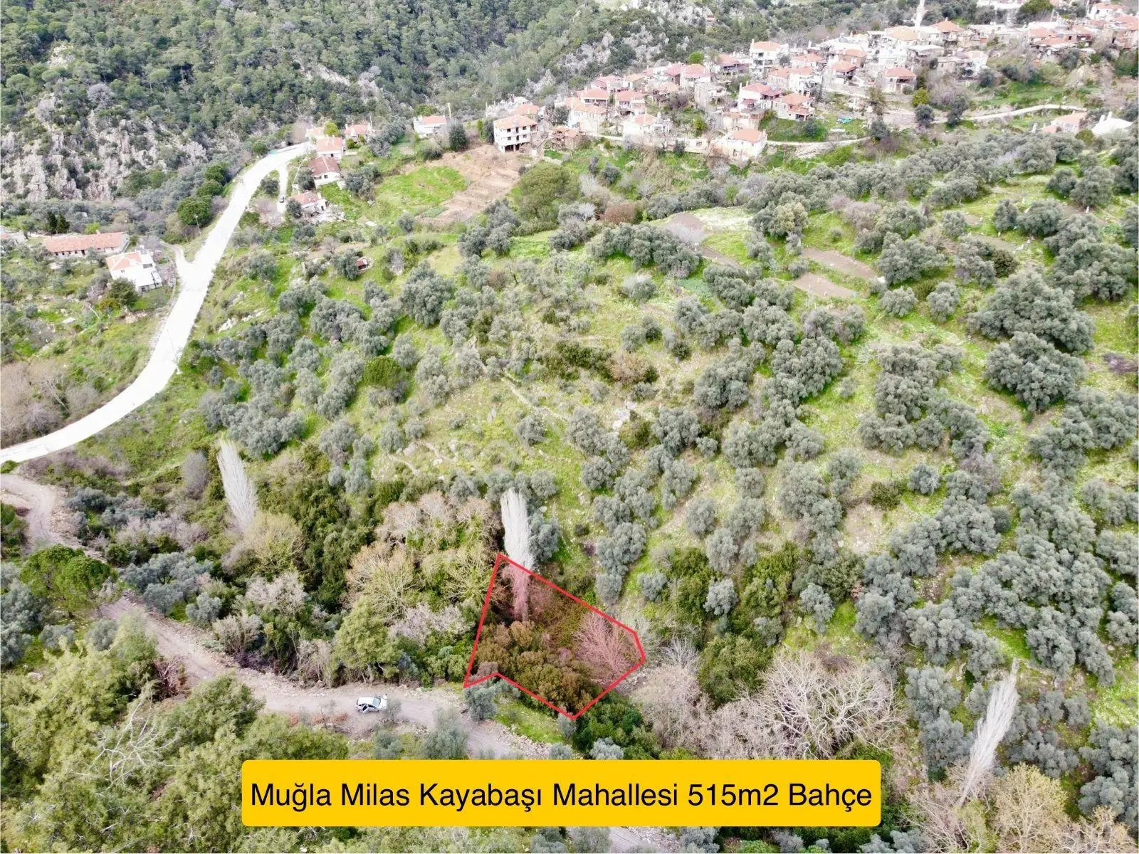Milas’ta Doğayla İç İçe 515m² Satılık Bahçe