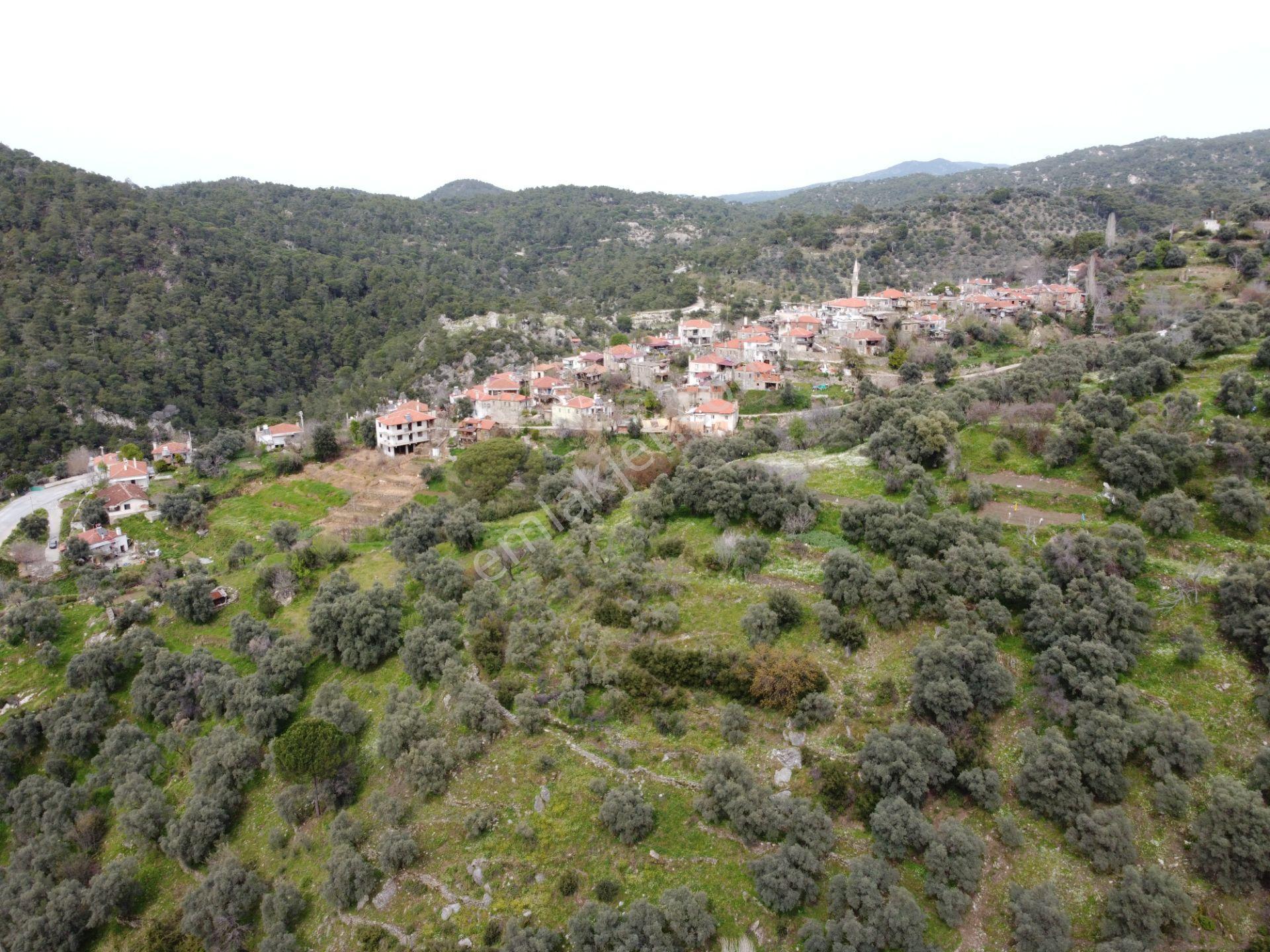 Milas’ta Doğayla İç İçe 515m² Satılık Bahçe - Görsel 6