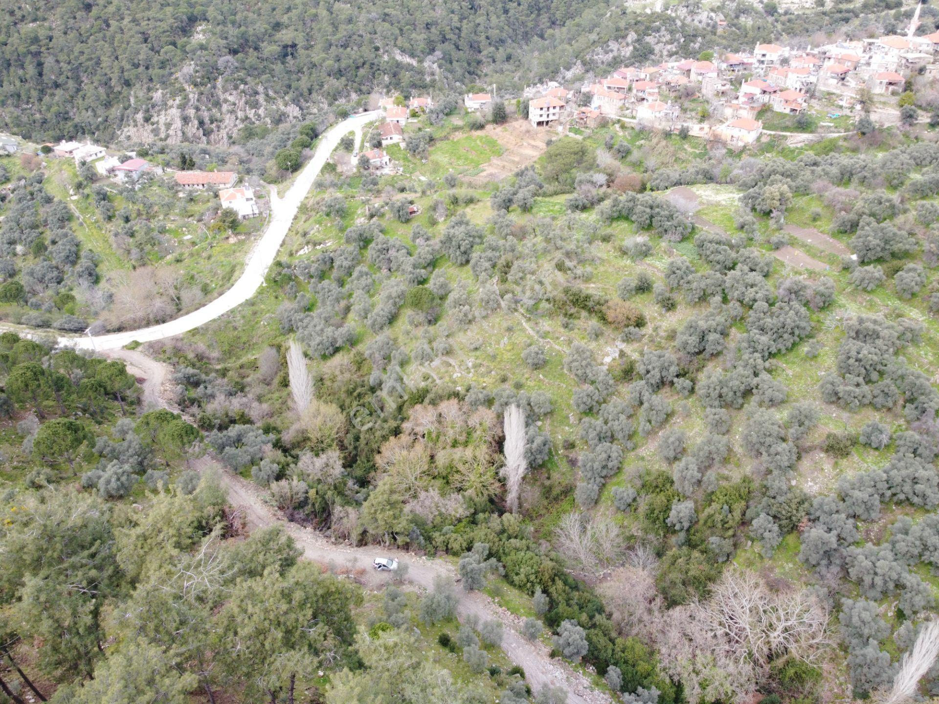 Milas’ta Doğayla İç İçe 515m² Satılık Bahçe - Görsel 5