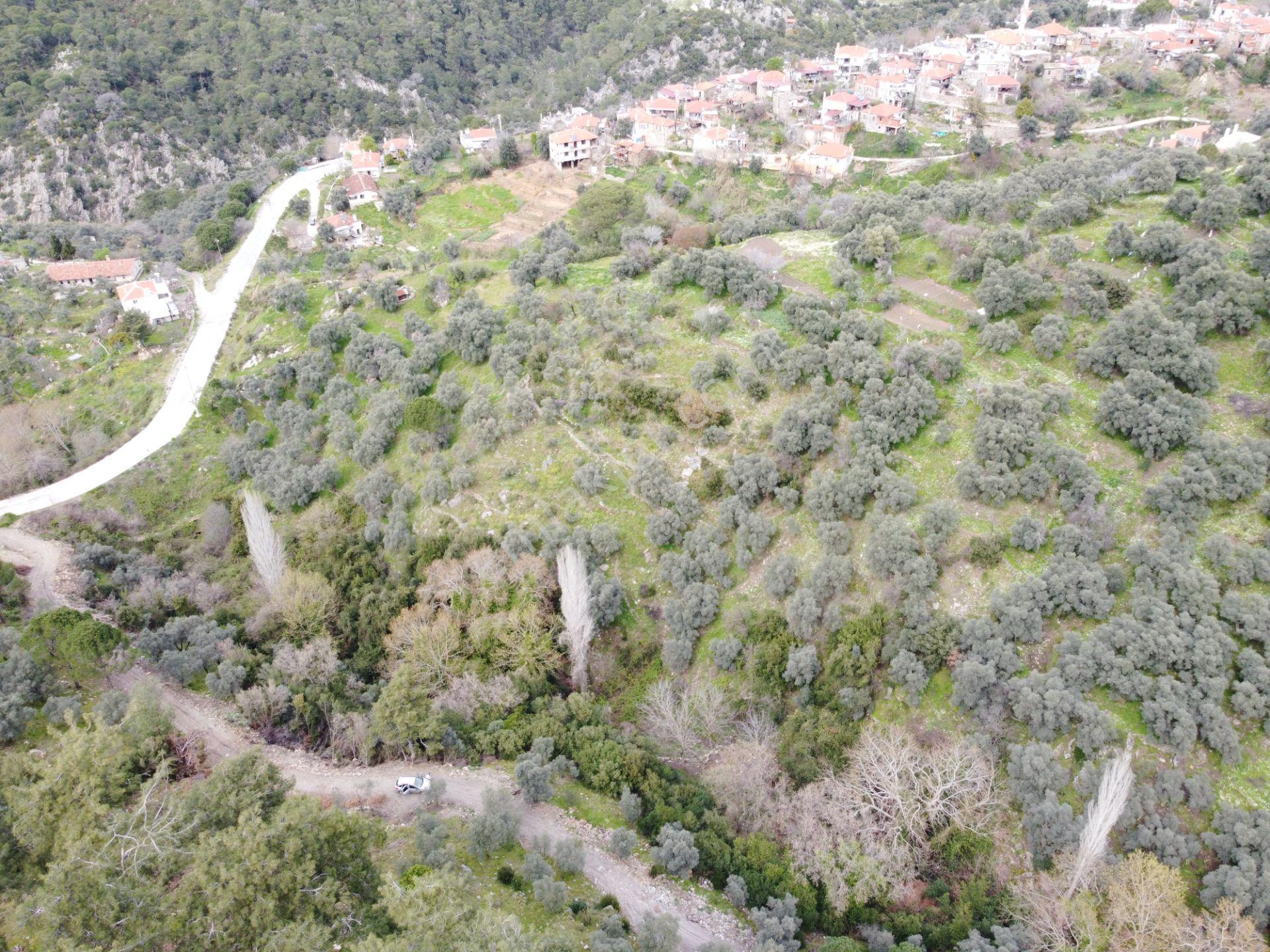 Milas’ta Doğayla İç İçe 515m² Satılık Bahçe - Görsel 8