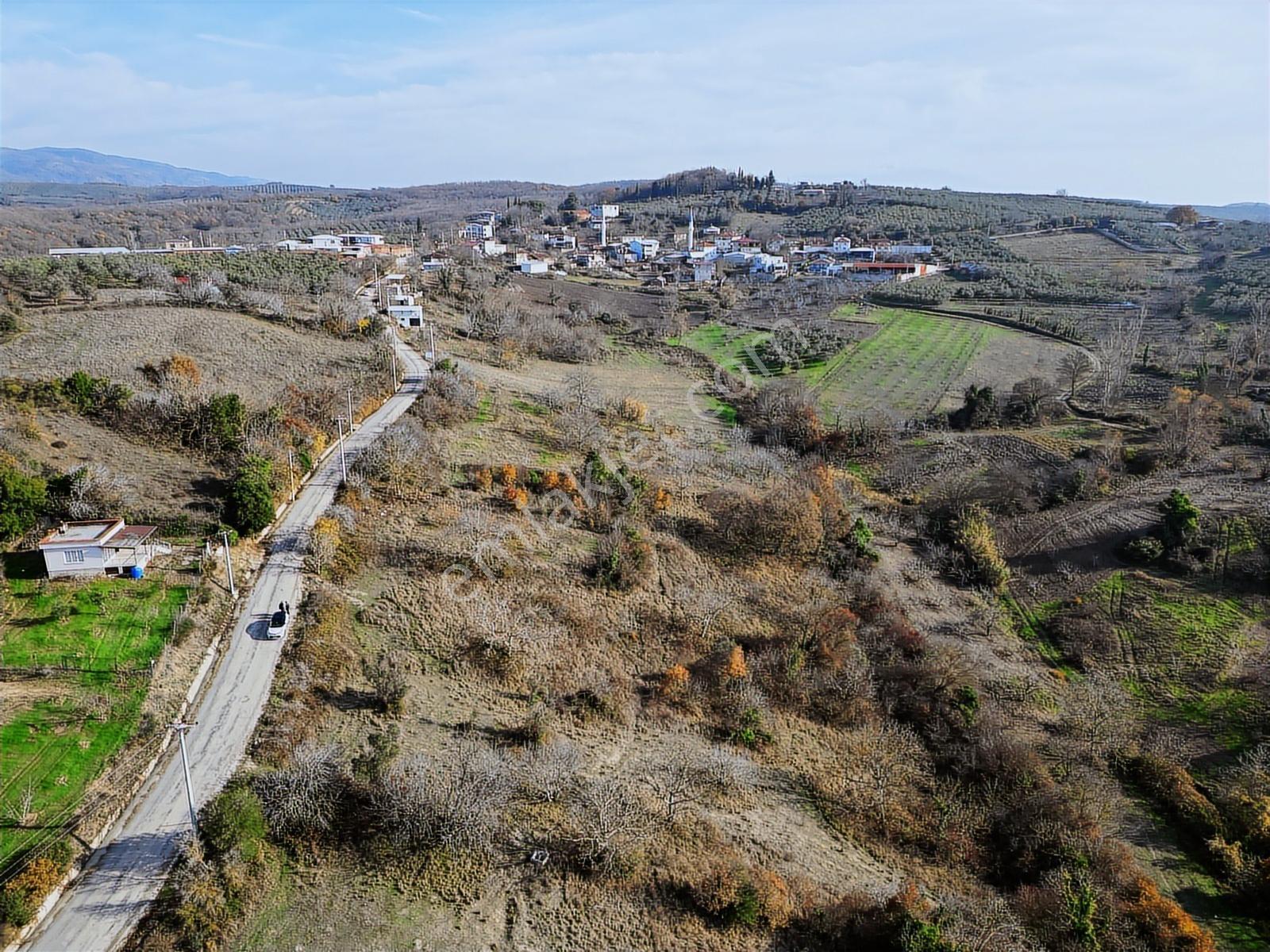 Bursa Mudanya Yaman Mh.'de Yola Cephe Satılık Tarla - Görsel 6