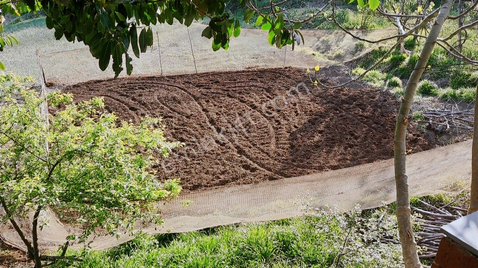 Beykoz Dereseki'de Villa İmarlı Arsa Ve İçinde 3+1 Satılık Ev - Görsel 20