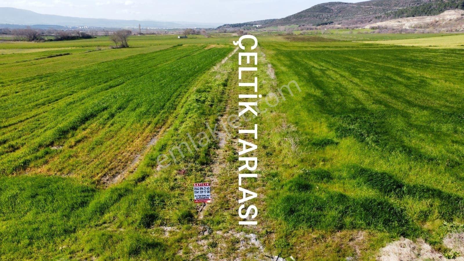 Balıkesir Gönen Tütüncü De Satılık Çeltik Tarlası - Görsel 11
