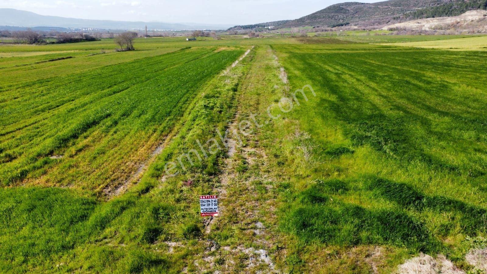 Balıkesir Gönen Tütüncü De Satılık Çeltik Tarlası - Görsel 13