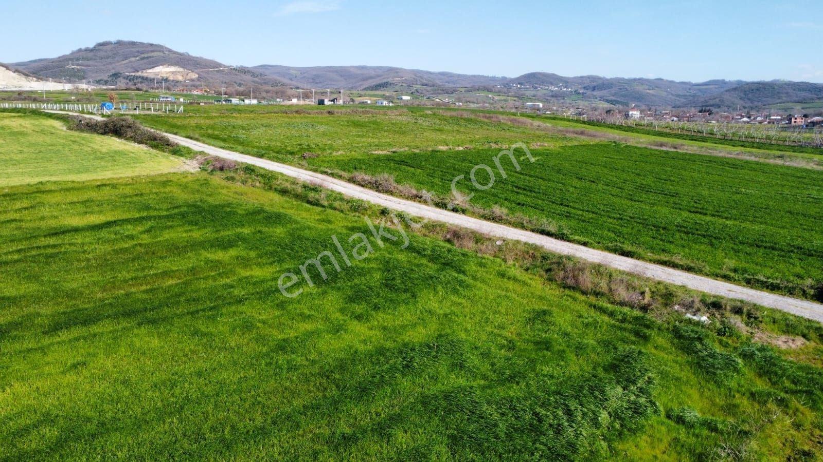 Balıkesir Gönen Tütüncü De Satılık Çeltik Tarlası - Görsel 8