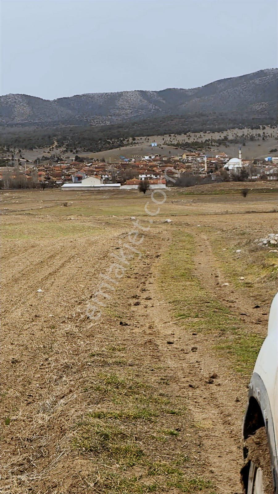 Kütahya Altıntaş Pınarcık Köyü - Görsel 2