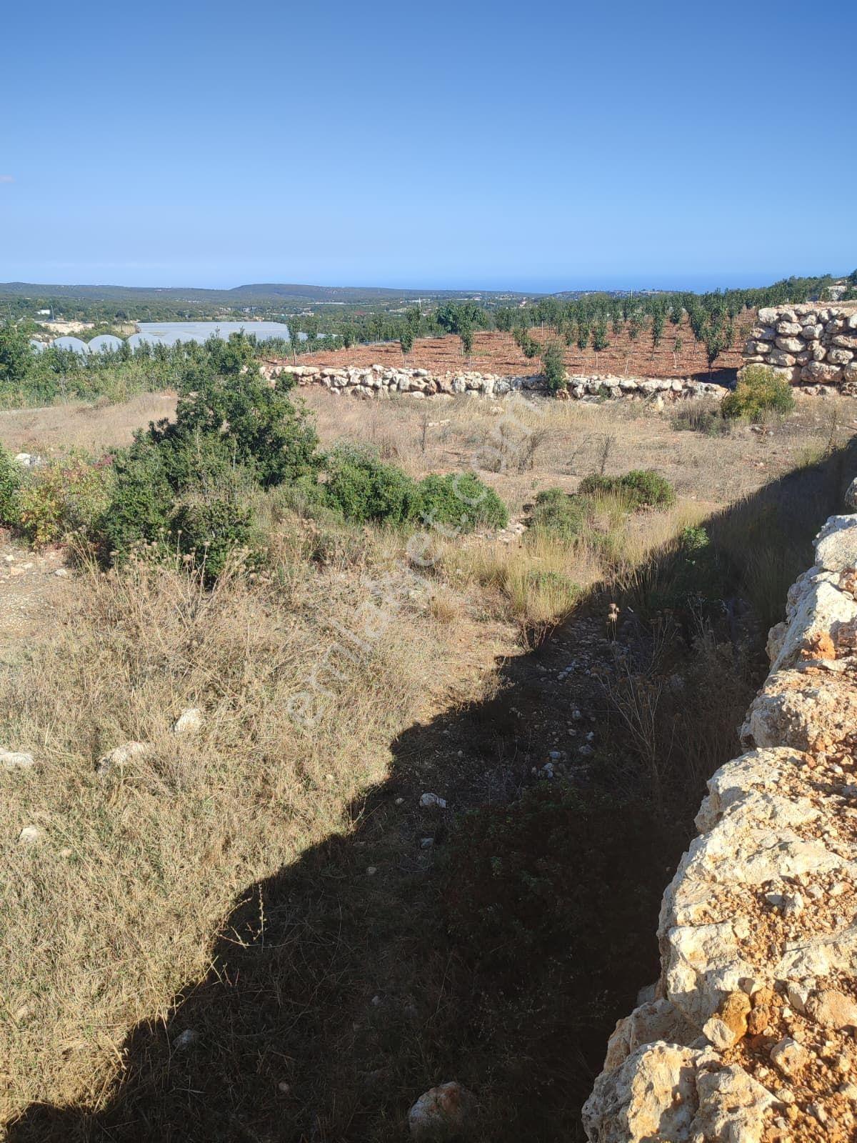 Köyiçi Satılık Fırsat Arsa 700 M2 Pazarlıksız Son Fiyat - Görsel 6