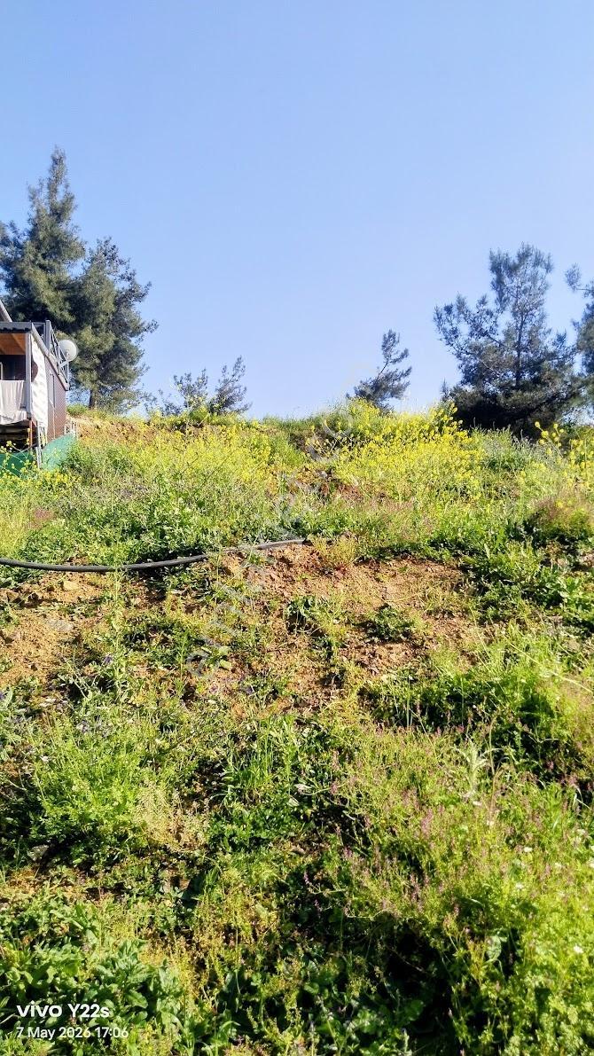 Gölbaşı Hobi Bahçeleri - Görsel 32