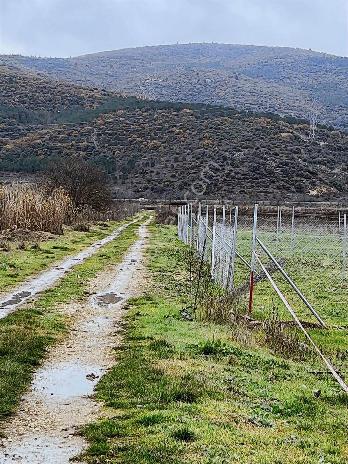 Yenişehir Marmaracık Asvalt Yola 600 Metre - Görsel 4