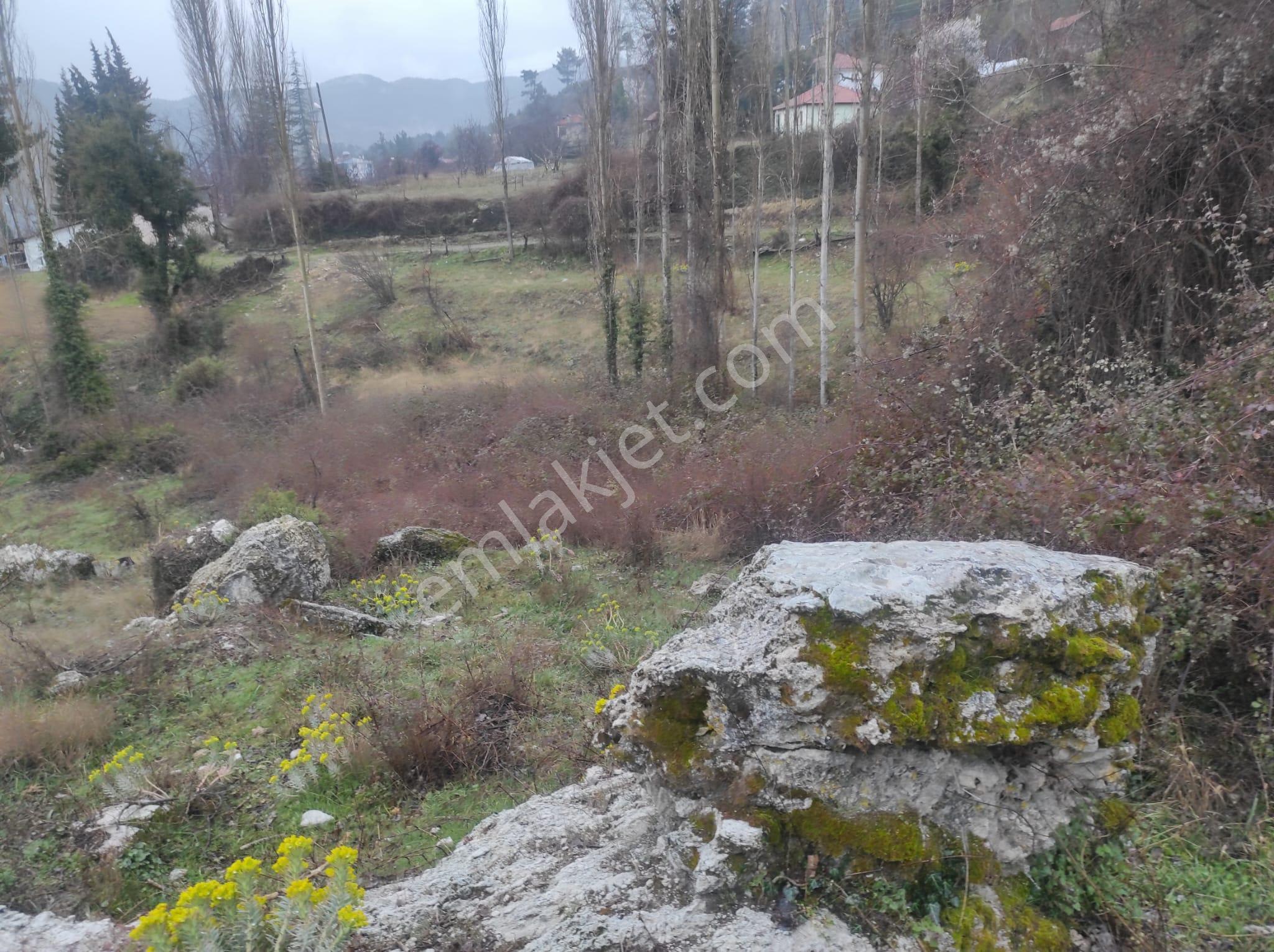 Çameli Akpınar Köyünde 2 Tapu 1582m2 Arazi - Görsel 3