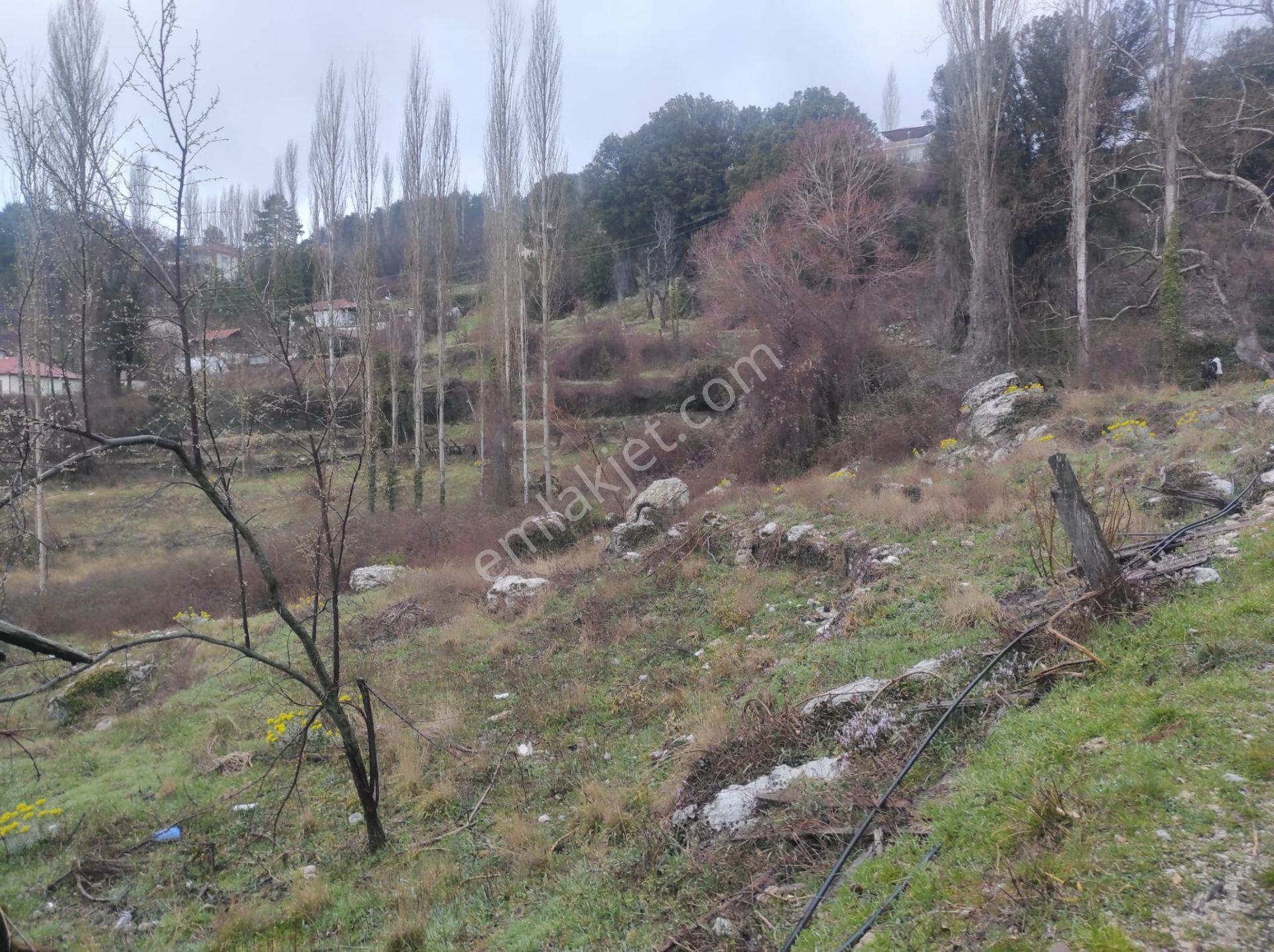 Çameli Akpınar Köyünde 2 Tapu 1582m2 Arazi - Görsel 5