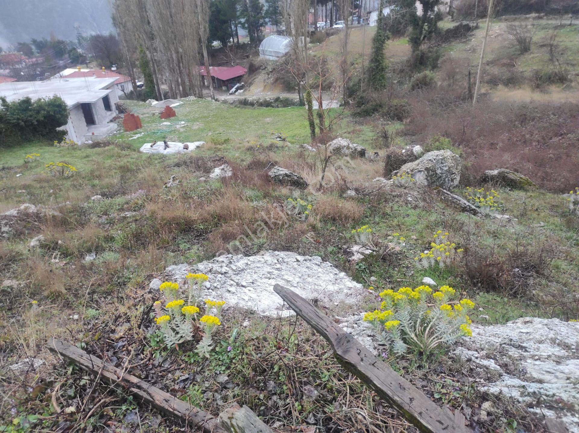 Çameli Akpınar Köyünde 2 Tapu 1582m2 Arazi - Görsel 2
